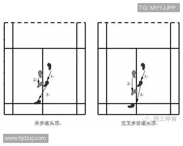 从零基础到高手之路羽毛球配合技巧全解析与实战经验分享