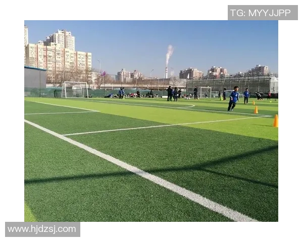 在绿茵场上追逐梦想足球与草地的激情碰撞与无限可能 在绿茵场上追逐梦想足球与草地的激情碰撞与无限可能